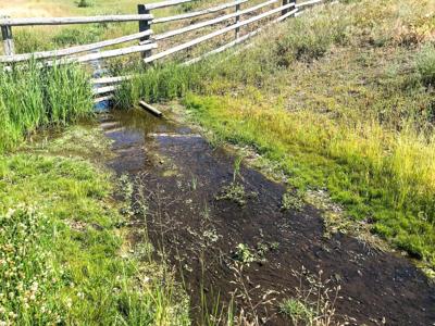 TBD Upper Deep Creek