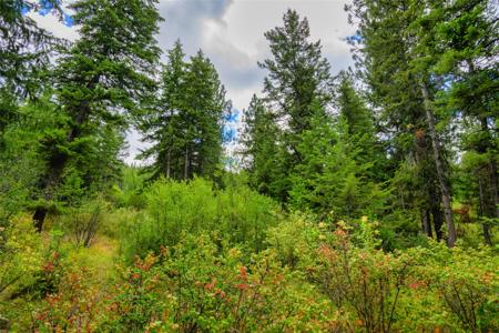 Lot 1 Bighorn Bluff Road