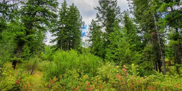 Lot 1 Bighorn Bluff Road