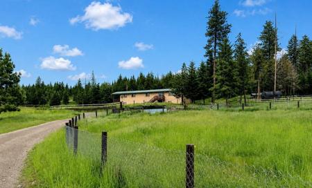 19649 Golden Pine Lane