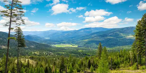 Nhn Idaho Hill Road