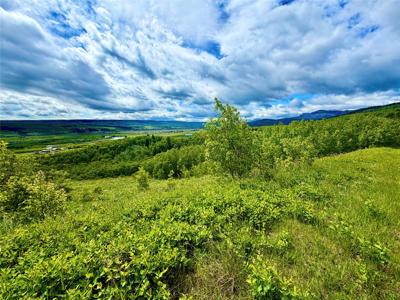 TBD Skyline Drive