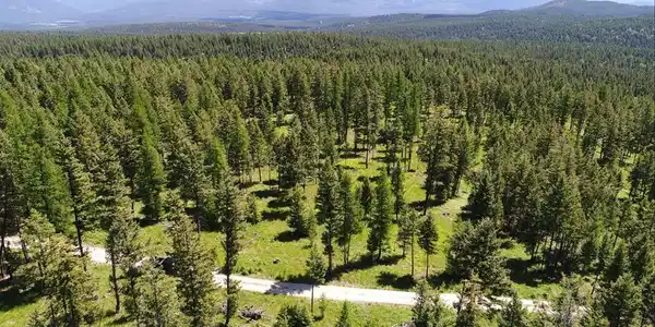 Lot 1 B Meadow Springs Road