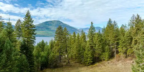 Lot 4 McKay Minor Road