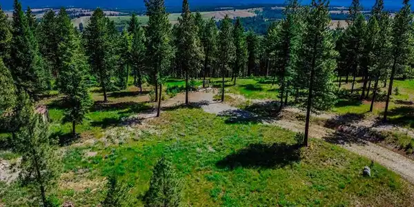 734 Hillandale Trail