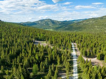 Lot 6A Wild Bill Road