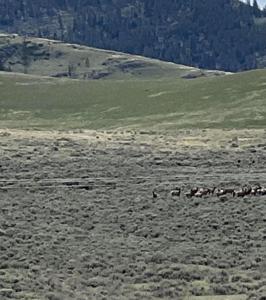 Nhn Garcon Gulch Road