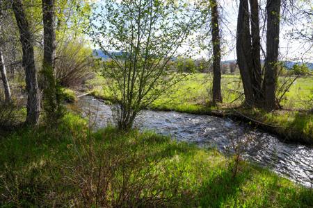 NHN N Beaver Creek Road
