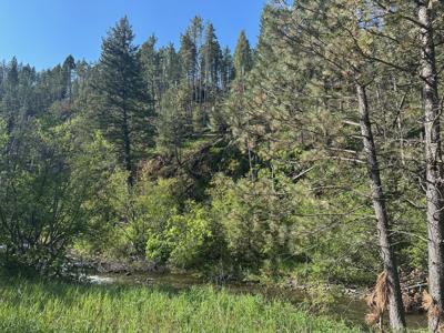 NHN Hwy 89 N