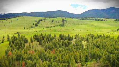 NHN Us Highway 93 N