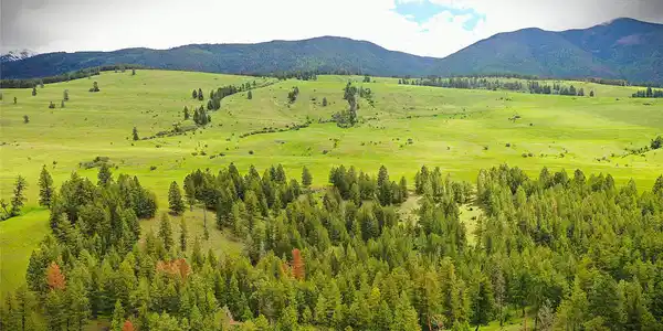 NHN Us Highway 93 N