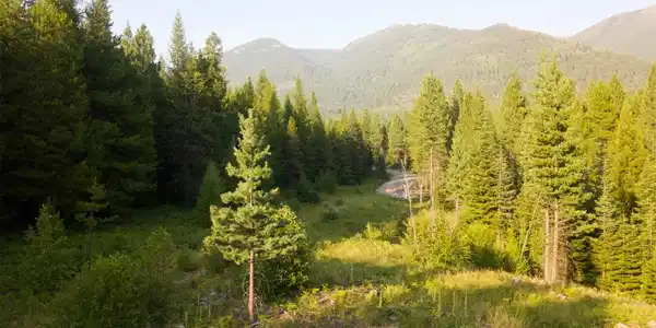 465 Shoshone Trail