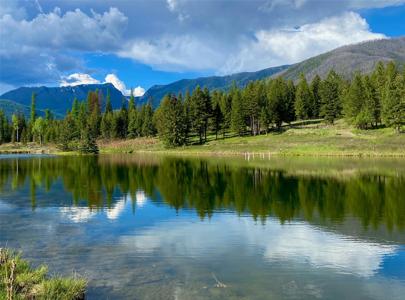 295 Burks Bottom Road