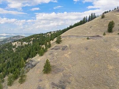 Tract 1 & 2 Wild Horse Trail