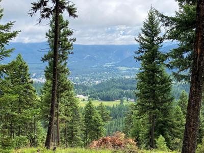 Lot 10 Panoramic View Drive