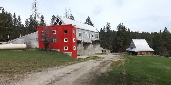 Image 2