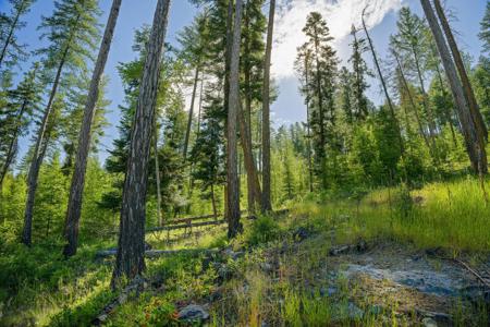 234 Trading Post Trail