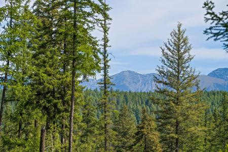 429 Chief Cliff Trail
