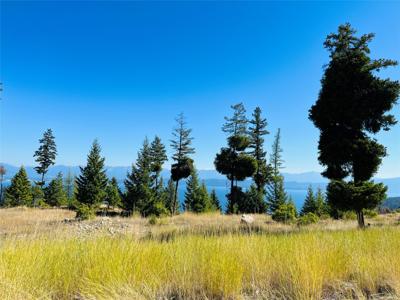 209 Ridge Line Drive