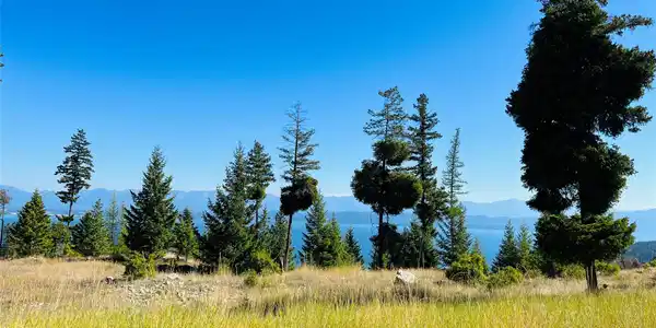 209 Ridge Line Drive