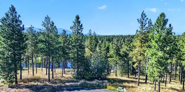 215 Sundance Court