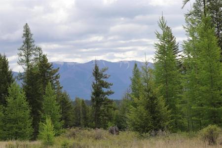 Lot 1A Meadow Springs