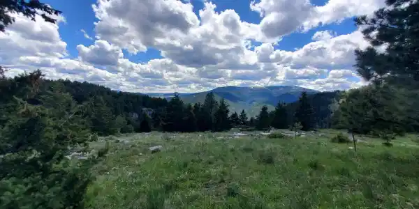 TBD Logging Creek Road