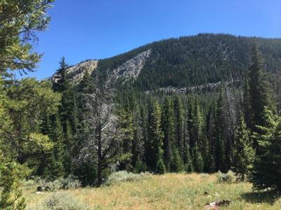 216 Trapper Creek Road