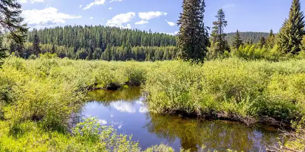 NHN Fortine Creek Road