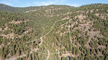 NHN Bear Den Trail