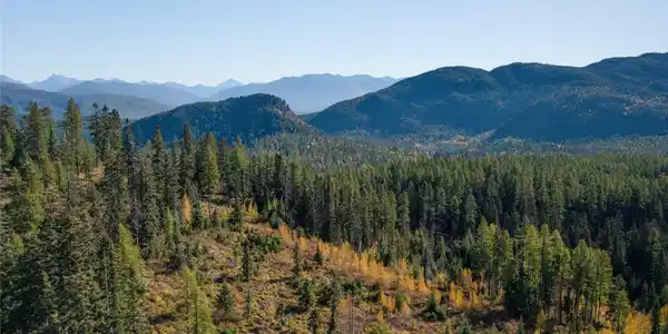 NHN Kelly Mountain Road