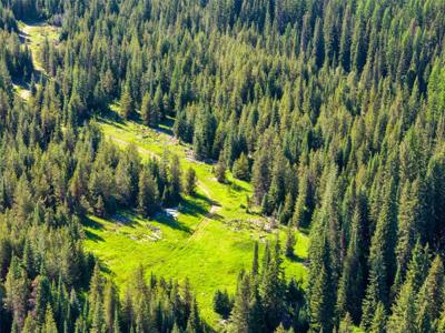 unk Packer Creek Road