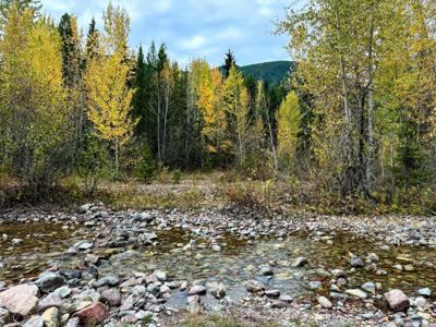 NHN Giefer Creek Road