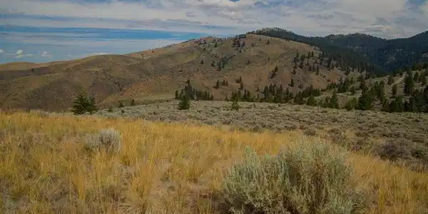 Lot 2 Sapphire Ridge Ranch