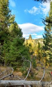 NHN Hoover Creek Road