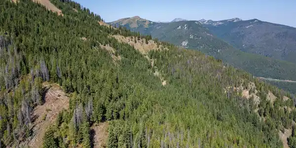 TBD NF 2300 Road