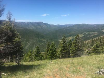 TBD Bear Track Road