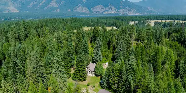 36 Forest Lane