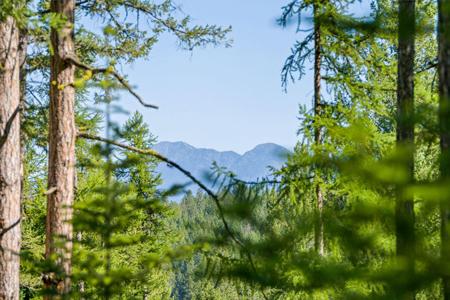 385 Saddlehorn Trail