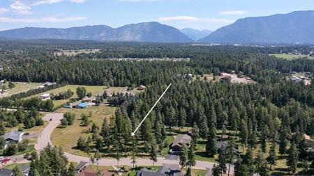 1243 Timber Ridge Court