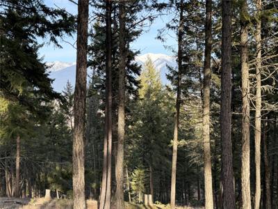 NHN Hillandale Trail