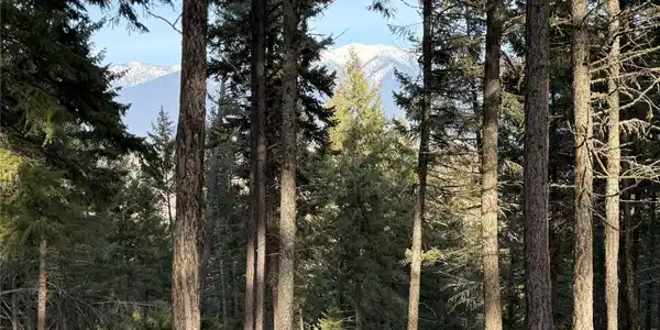 NHN Hillandale Trail