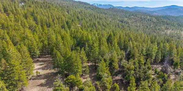 2520 Haywire Gulch