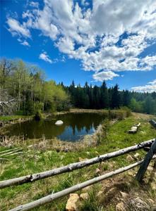 NHN Perkins Gulch Road