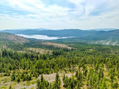 Nhn Griffin Creek Road