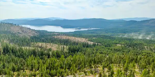 Nhn Griffin Creek Road
