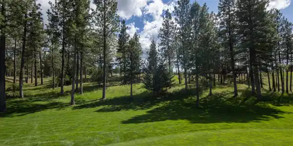 NHN Wilderness Club Drive