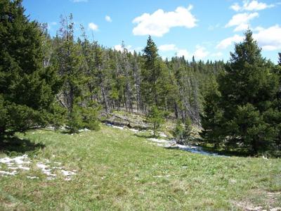 510 Cadotte Creek Road