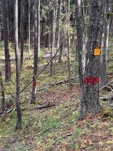 TBD Granite Creek Road
