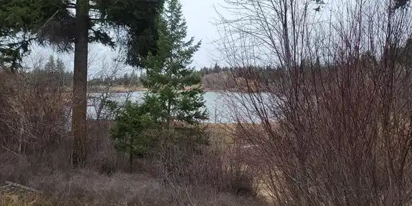 38244 Turtle Lake Loop